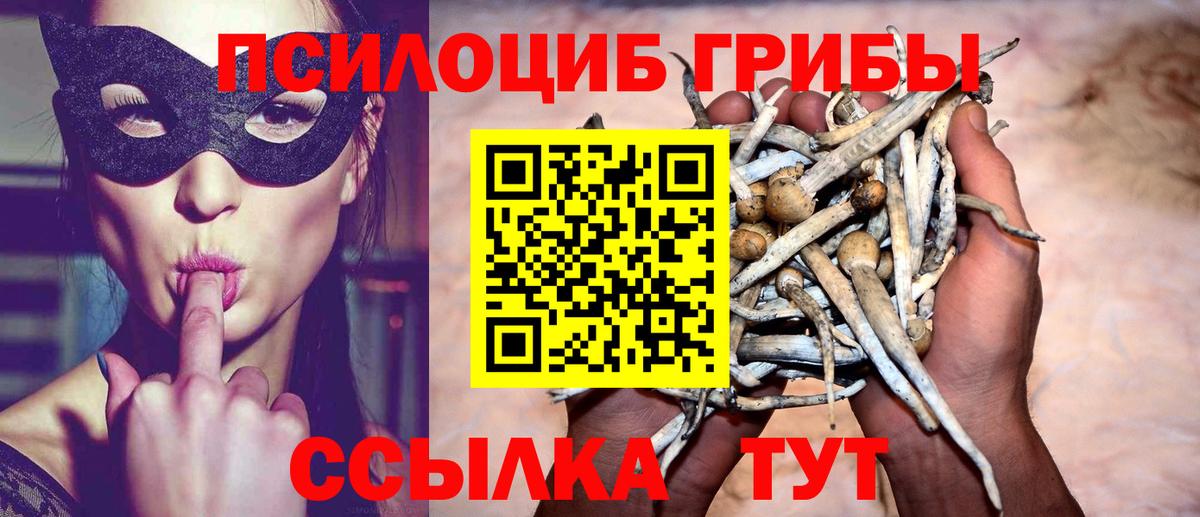 Псилоцибиновые грибы Psilocybe  Вход с VPN  Южноуральск 